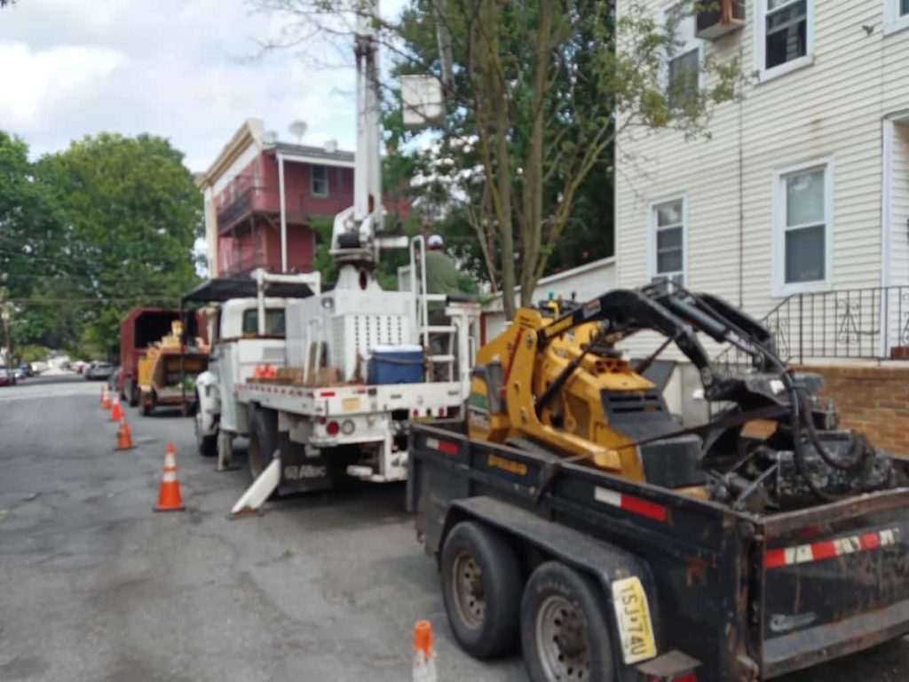 Commercial Tree Services in Millburn, NJ