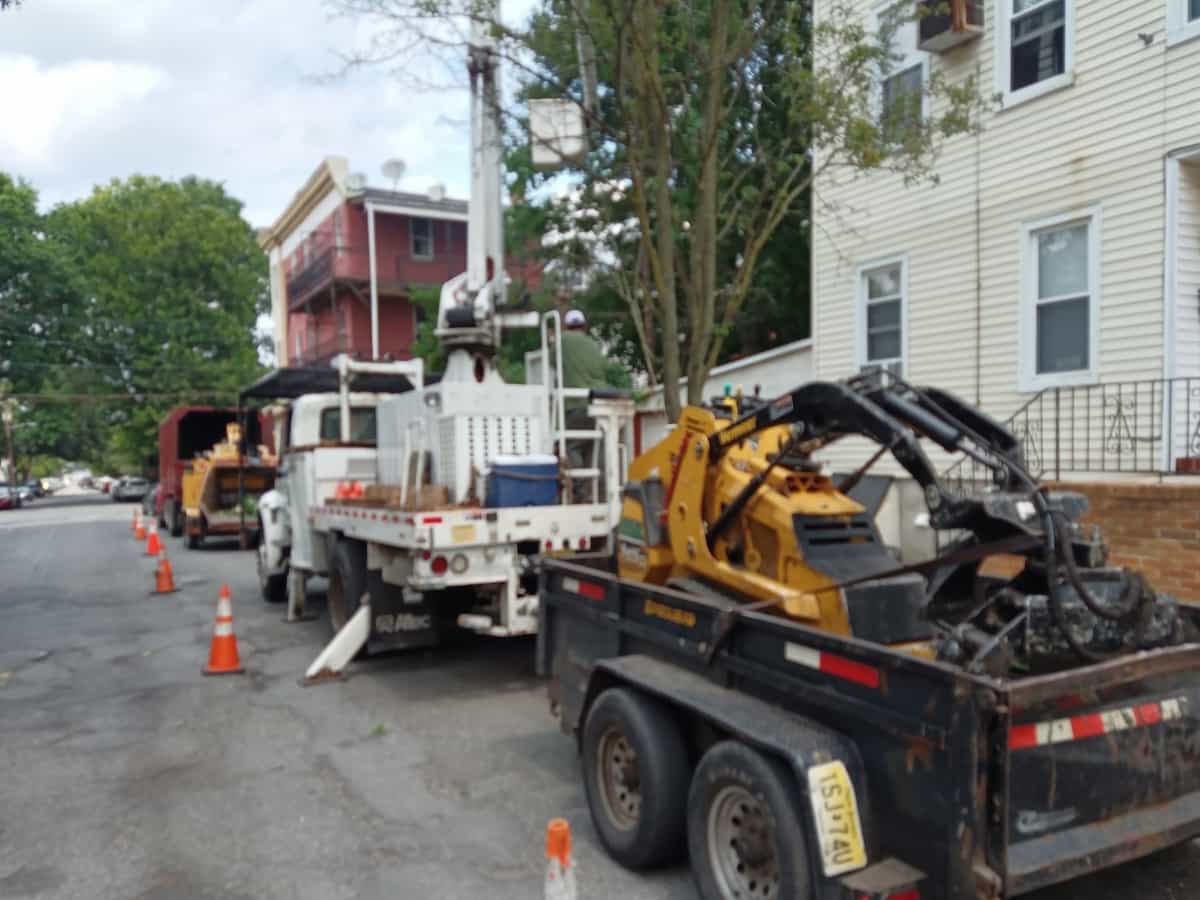 Commercial Tree Services in Millburn, NJ