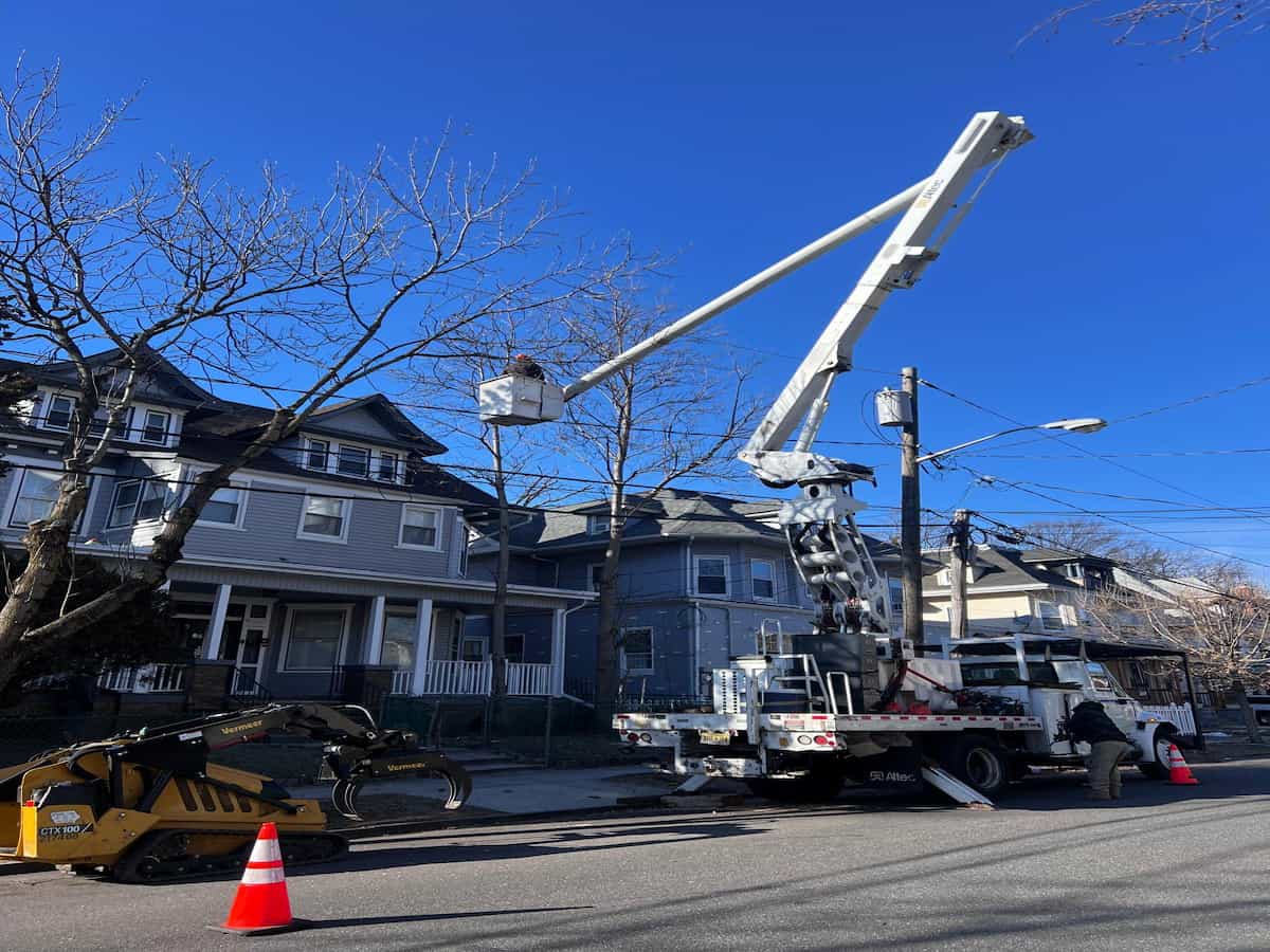 Tree Removal in East Hanover, NJ