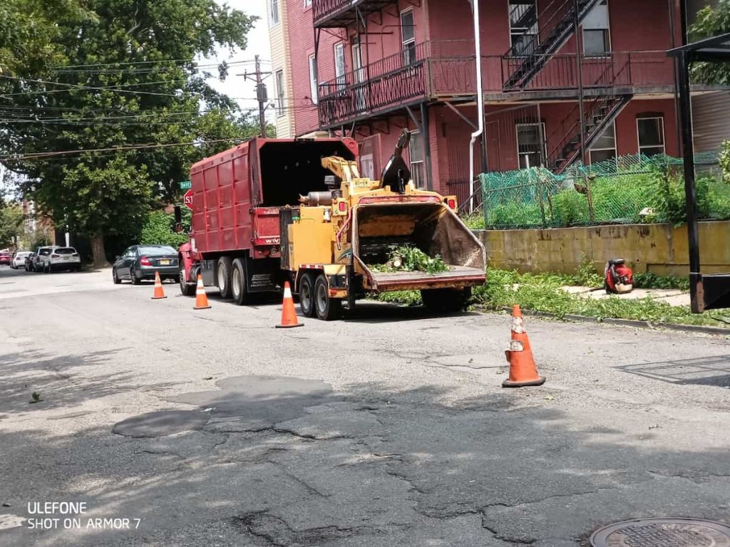 Wood Chipping & Disposal